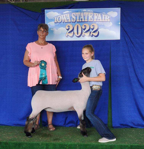5th Overall Commercial Ewe Iowa State Fair