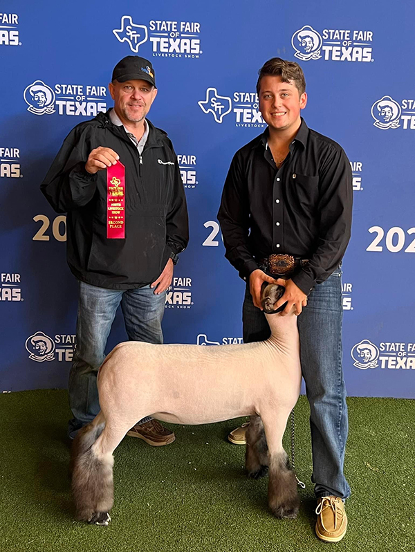 2nd in Class Commercial Ewe State Fair of Texas