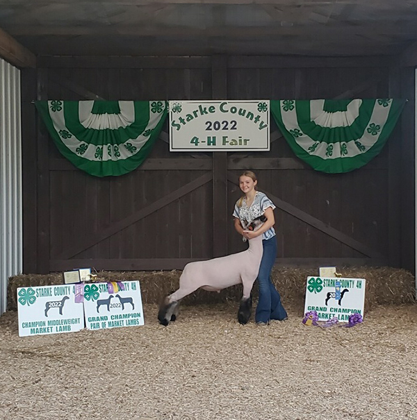 Grand Champion Market Lamb Starke County Fair IN