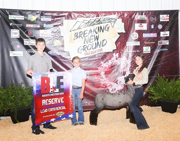 Reserve Champion Commercial Ewe Buckeye Livestock Expo
