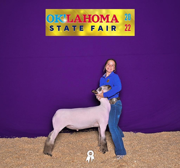 Reserve Shrop Market Lamb Oklahoma State Fair