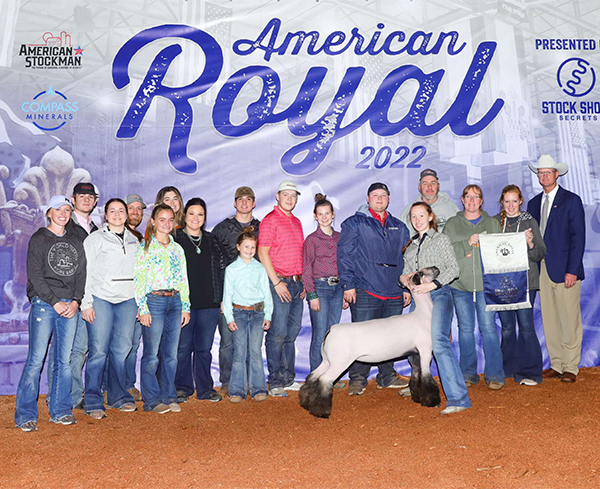Champion Division 1 and Third Overall Commercial Ewe American Royal